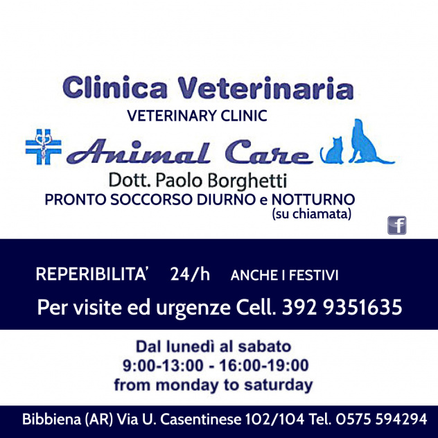 ANIMAL CARE CLINICA VETERINARIA_1