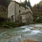 CASENTINO FOREST NATIONAL PARK_3