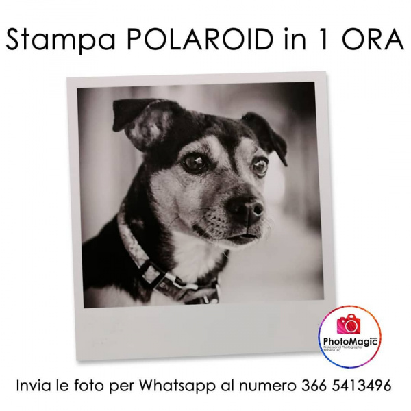 Stampiamo le vostre foto in formato POLAROID...inviacele tramite WhatsApp al numero 3665413496 e in 1 ora te le prepariamo