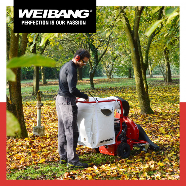 Serve un aiuto professionale per la raccolta delle foglie? Con gli aspirafoglie Weibang tutto diventa più semplice e veloce.