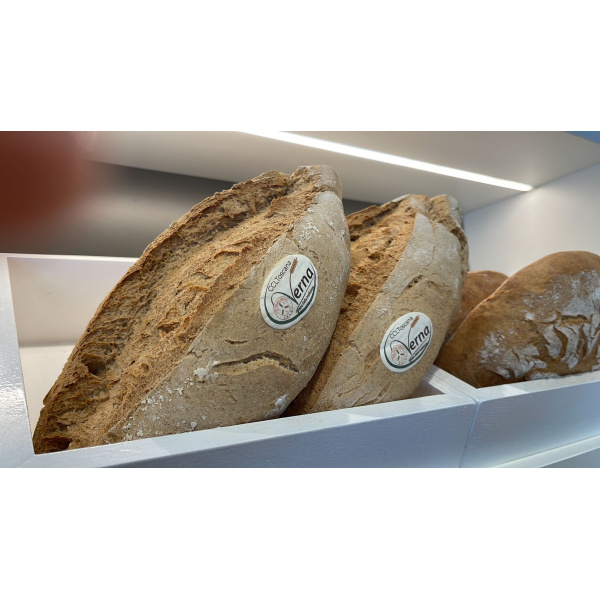 Pane Artigianale con Farina Verna - Un Gusto Autentico! 
La farina verna è conosciuta per la sua altissima qualità e l'incredibile gusto che conferisce ai prodotti da forno.